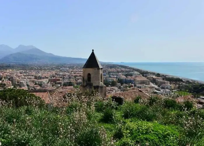 Olive And Wine * סקליאה