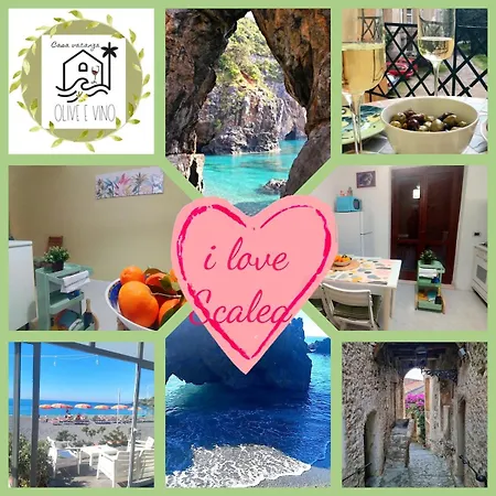 Olive And Wine 스칼레아