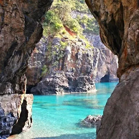 Olive And Wine 스칼레아