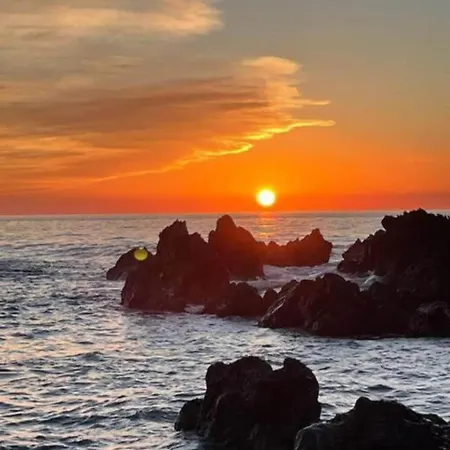 아파트 Olive And Wine