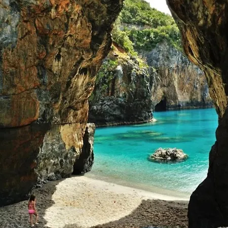 Olive And Wine 아파트