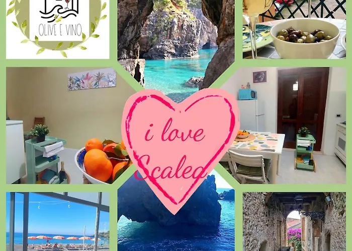 Olive And Wine سكاليا