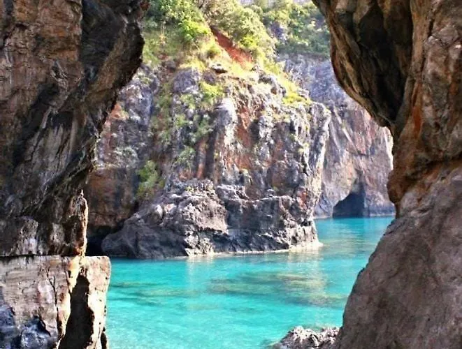 Olive And Wine סקליאה