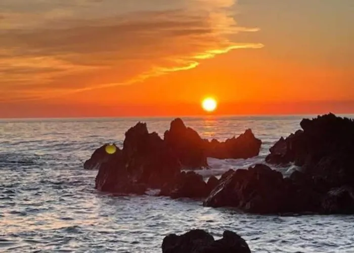 דירה Olive And Wine