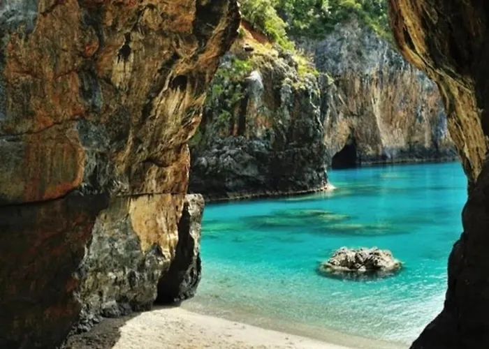 Olive And Wine شقة